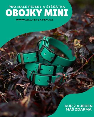 Setíky pro štěňátka ještě výhodněji 😍🤩 Nebo máte více chlupáčů ? 🥳 Nepropásněte AKCI a vybavte se na léto i zimu. Nebo si...