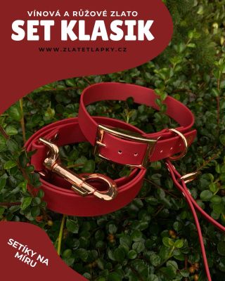 Co třeba kombinace vínové s růžovým zlatem? 🍇 #zlatetlapky #ruzovezlato #dogfashion #dogaccessories #dogcollars #dogleash...