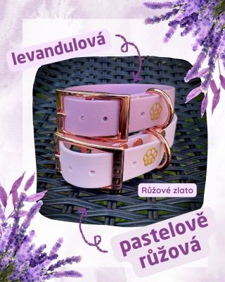 Dvě barvičky, kterým neuvěřitelně sluší růžově zlato 😍 #ruzova #levandulova #psipotreby #psiobojek #vodeodolnyobojok...