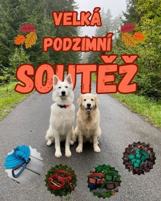 🍂VELKÁ PODZIMNÍ SOUTĚŽ 🍂 Zapojte se do naší podzimní soutěže a vyhrajte ručně vyráběné doplňky pro vaše chlupaté parťáky...