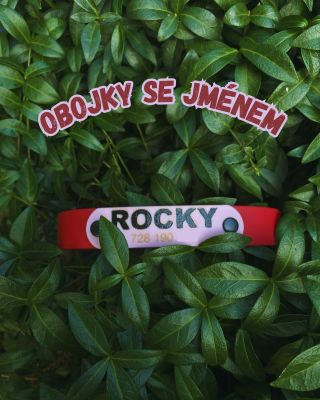 Věděli jste, že u nás můžete mít obojek i se jménem? Ručně barvené jmenovky. Jmenovka se skládá ze 3 vrstev- 2 základové a...
