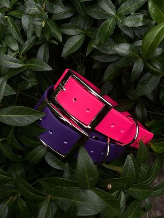 Podzimní inspirace 🩷v outletu naleznete spousty jiných obojku vodítek za super cenu. Nebo si vytvořte vlastní double...