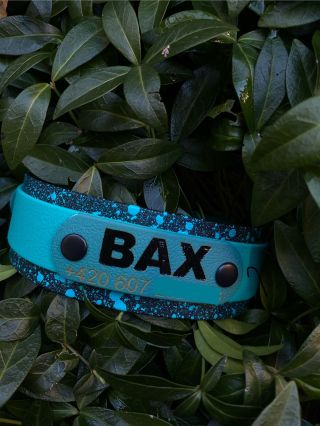 Splash obojky s popruhem přes a jmenovkou. Pokud máte nějaký takový nápad - napište a my vám vyrobíme obojek na míru a...